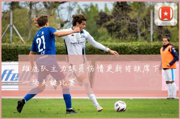 雄鹿队主力球员伤情更新将缺席下一场关键比赛