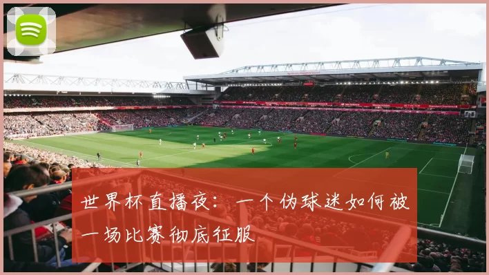 世界杯直播夜：一个伪球迷如何被一场比赛彻底征服