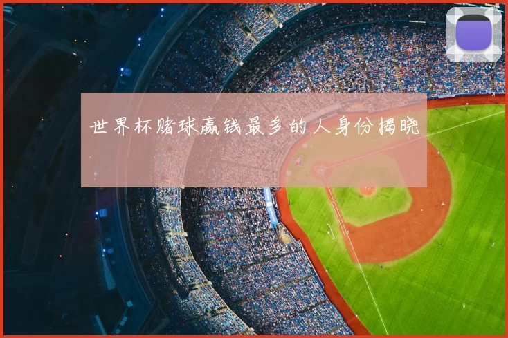 世界杯赌球赢钱最多的人身份揭晓
