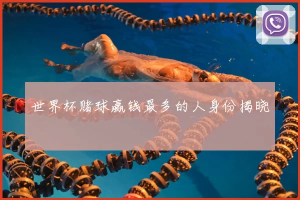 世界杯赌球赢钱最多的人身份揭晓