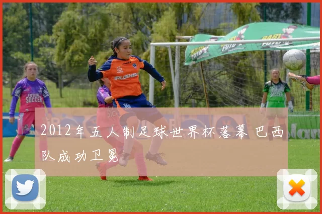 2012年五人制足球世界杯落幕 巴西队成功卫冕
