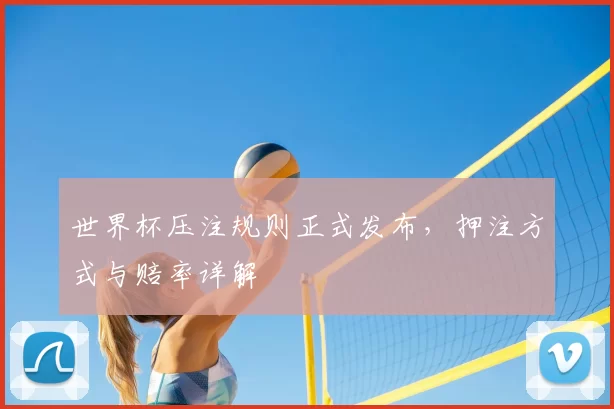 世界杯压注规则正式发布,押注方式与赔率详解