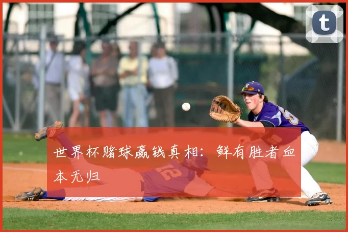世界杯赌球赢钱真相：鲜有胜者血本无归