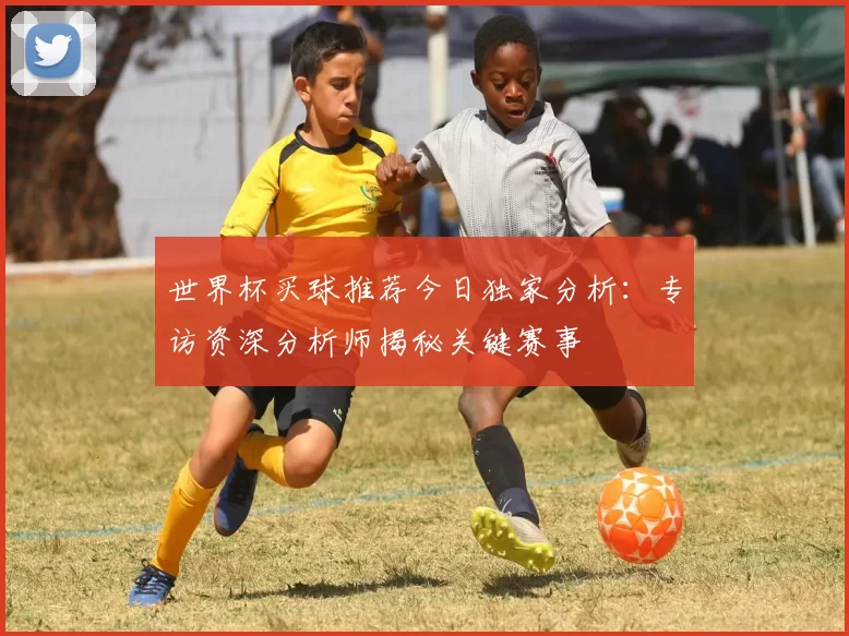 世界杯买球推荐今日独家分析：专访资深分析师揭秘关键赛事