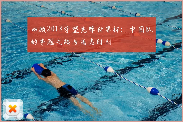 回顾2018守望先锋世界杯:中国队的夺冠之路与高光时刻